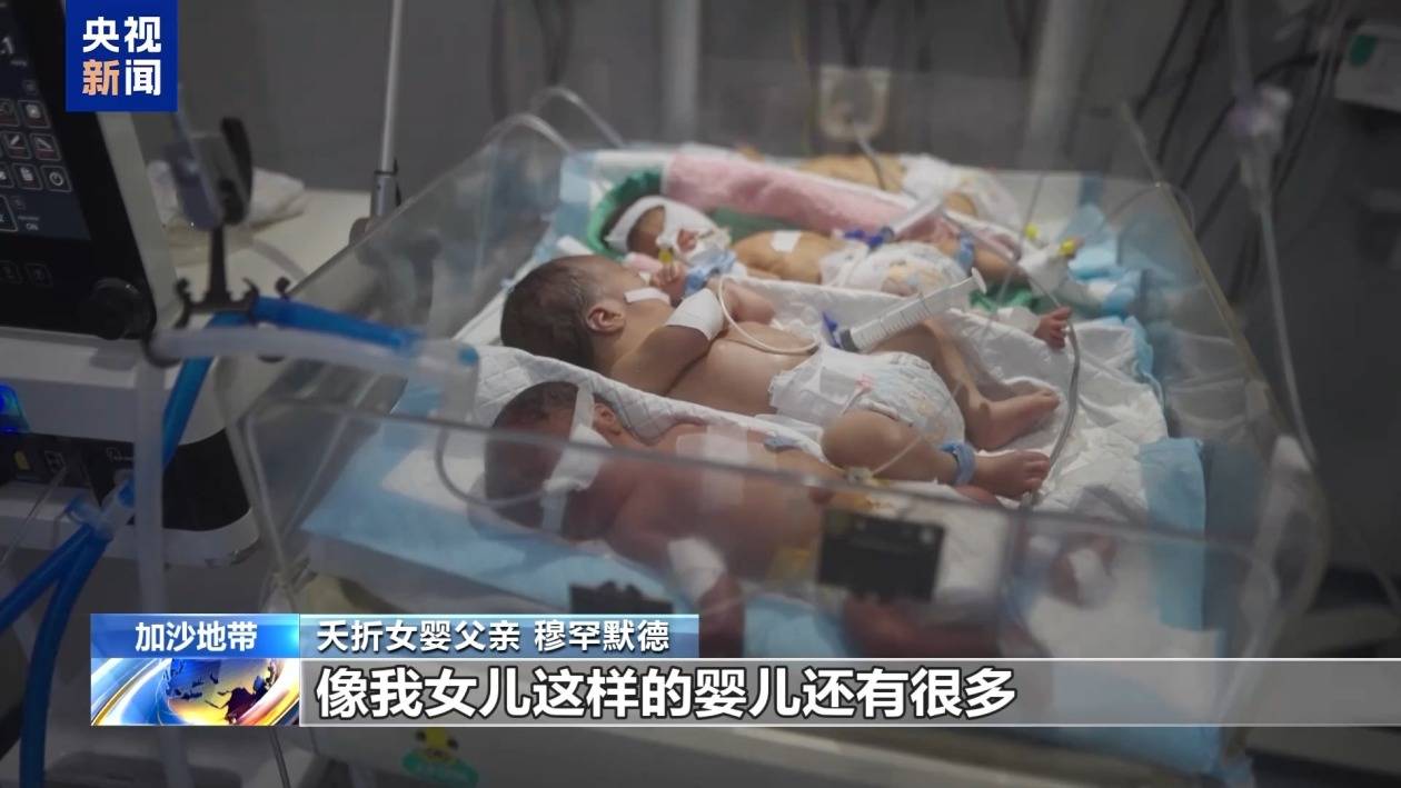 加沙醫(yī)院淪為無聲墓地 夭折女嬰父親：孩子做錯了什么<strong></p>
<p>墓地</strong>？:墓地